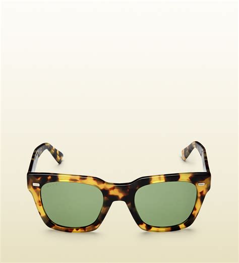 gucci havana acetate sunglasses|gucci 59mm square sunglasses.